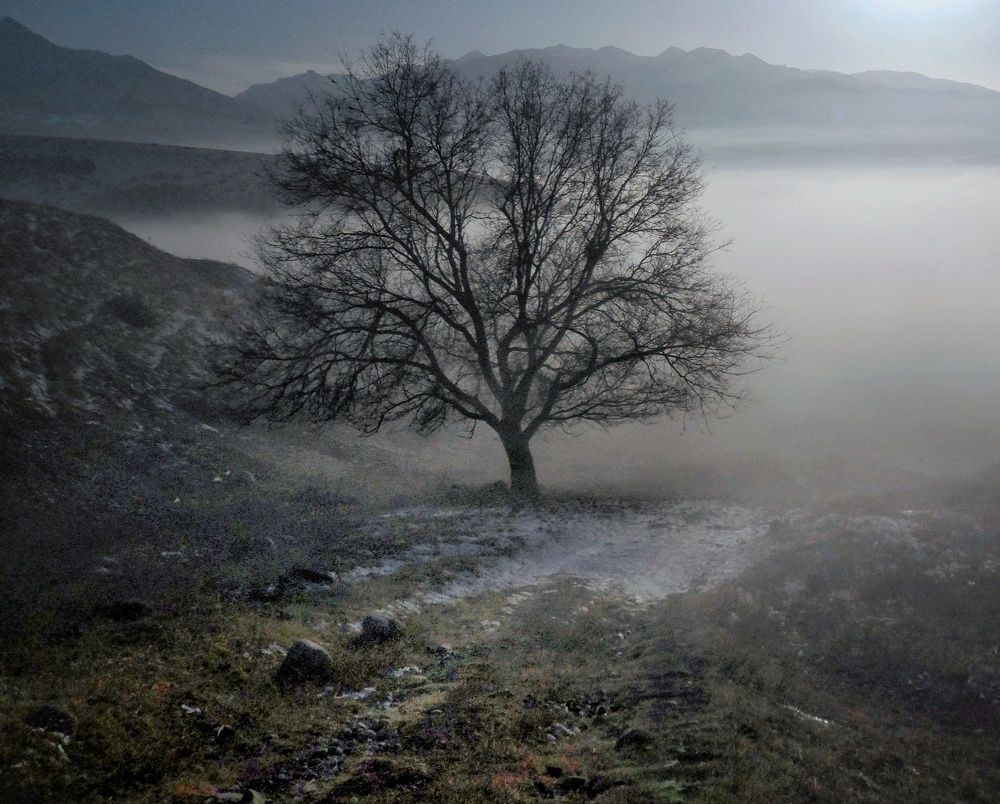 Photograph by Орынбек Асилбаев