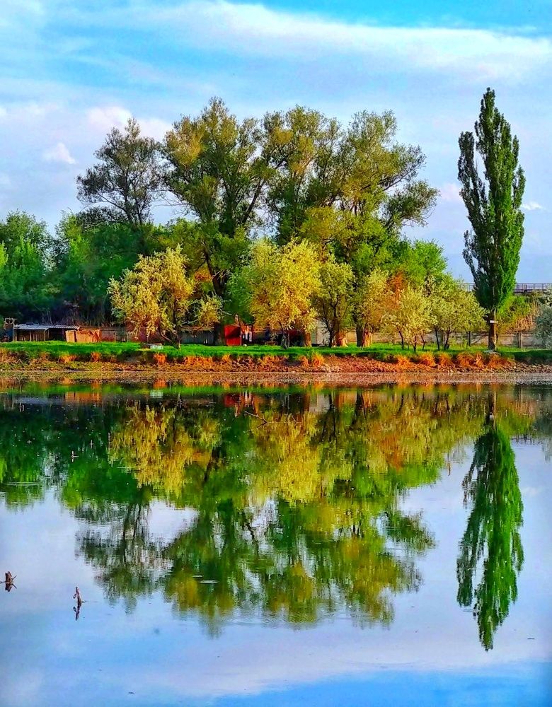 Photograph by Орынбек Асилбаев