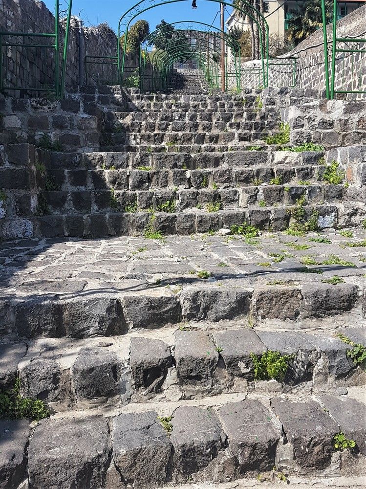 Фотография автора Ася Бабушкина