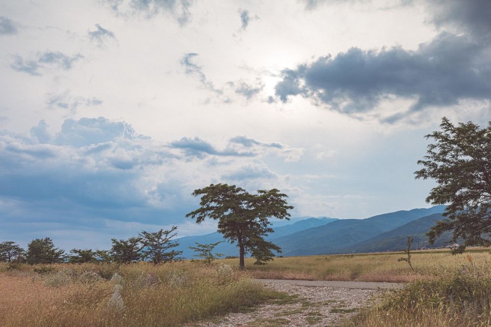 Photograph by Ди Си