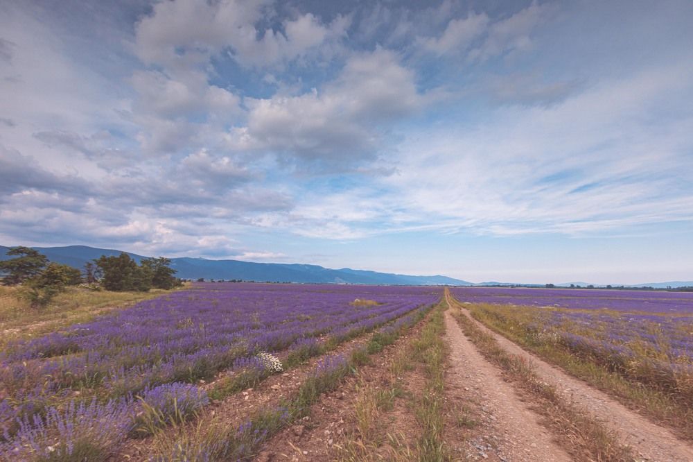 Photograph by Трайко Байко