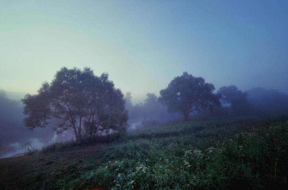 Photograph by Алексей Чудин