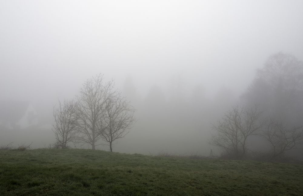 Фотография автора Uljana Kuchar