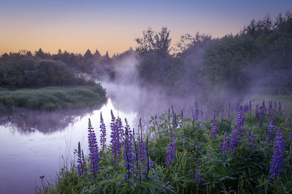 Photograph by Елена Гусева