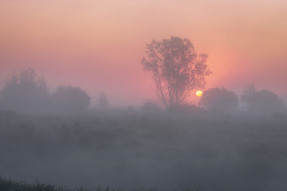 Photograph by Елена Гусева
