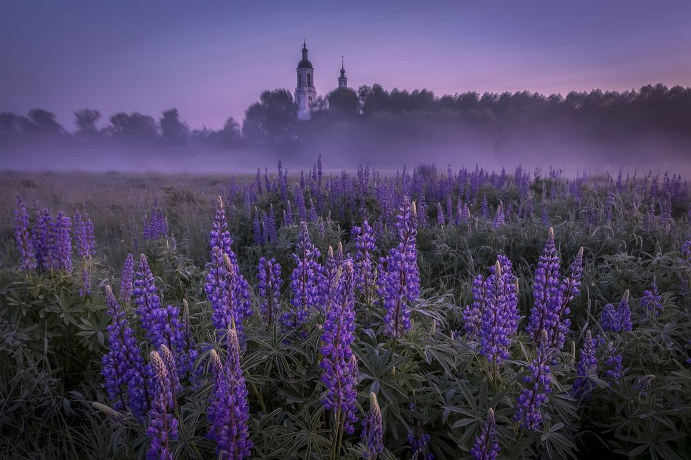 Photograph by Елена Гусева