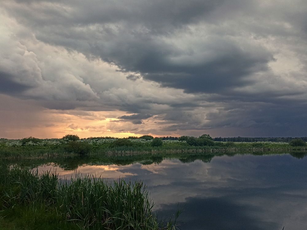 Фотография автора Бронислав Краснер