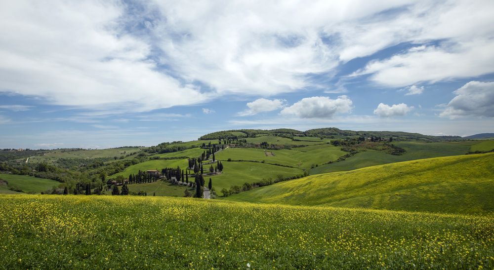 Photograph by Валентина Булкина