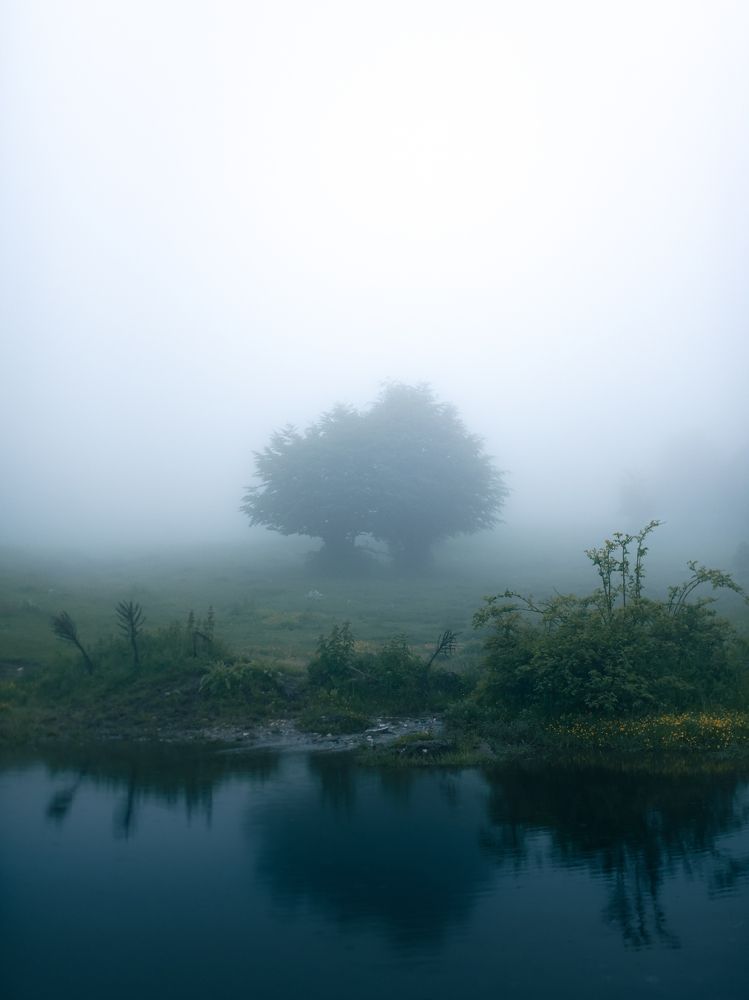 Photograph by Петър Димитров