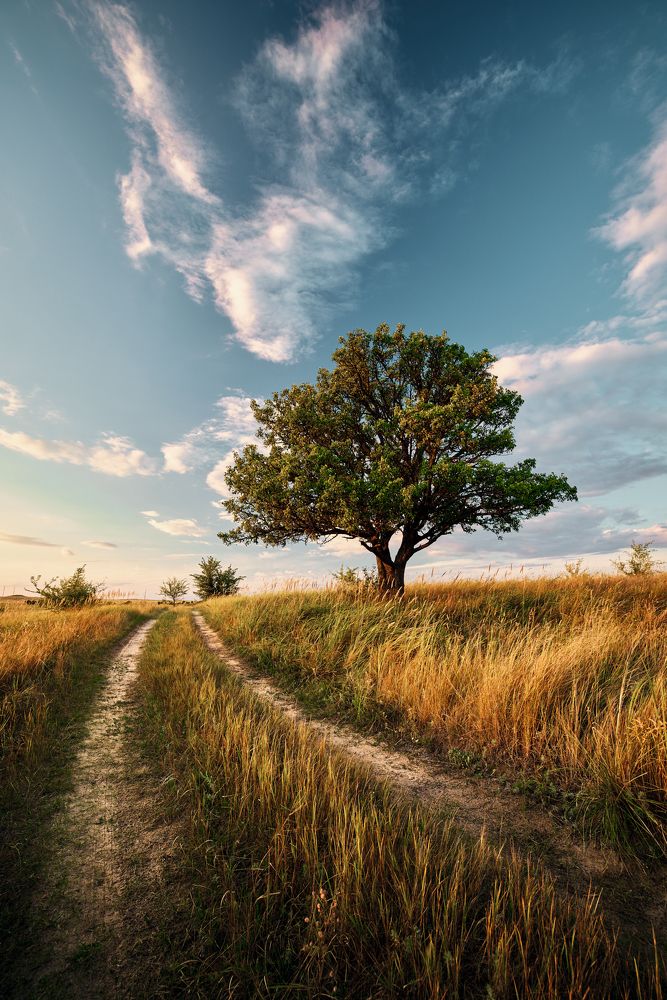 Photograph by Дмитрий Дыбов