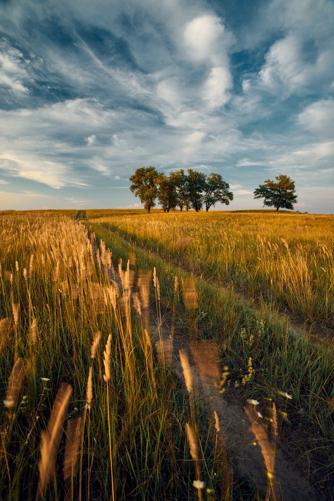Photograph by Дмитрий Дыбов