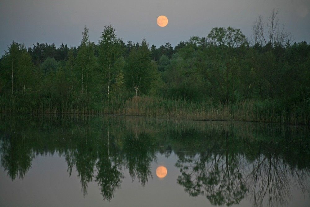 Photograph by Сергей Зятиков