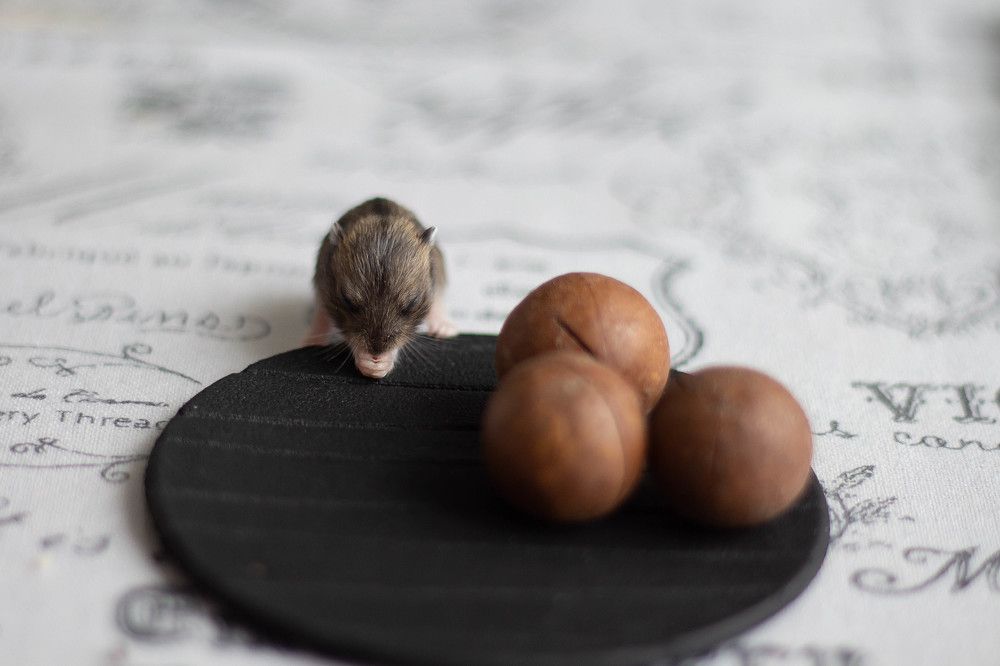 Photograph by Наталья Семенкова