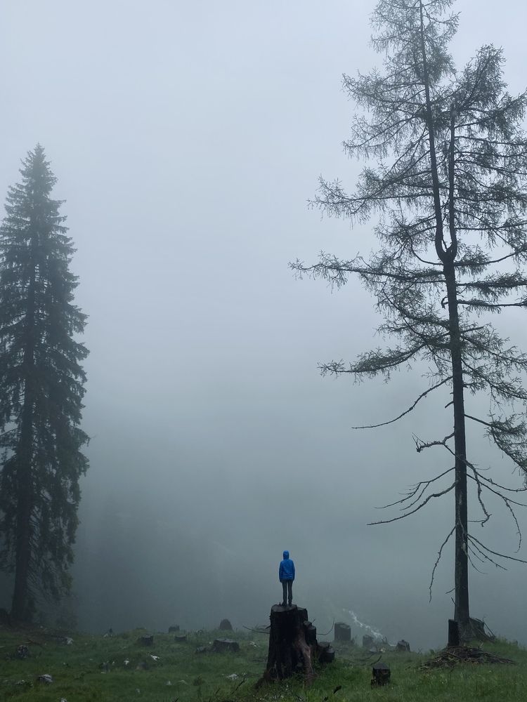 Photograph by Наталья Посашко