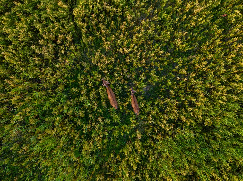 Photograph by George Alexandru Ghiuro