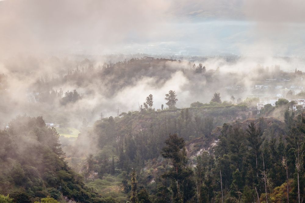 Photograph by Sandra Alvarez