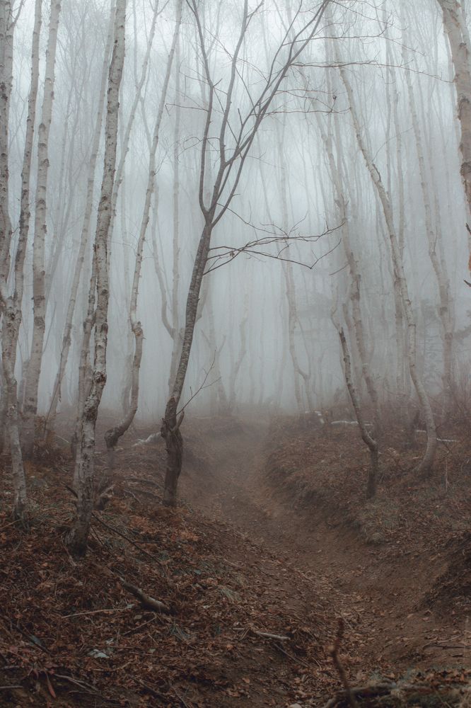 Photograph by Anna Turks