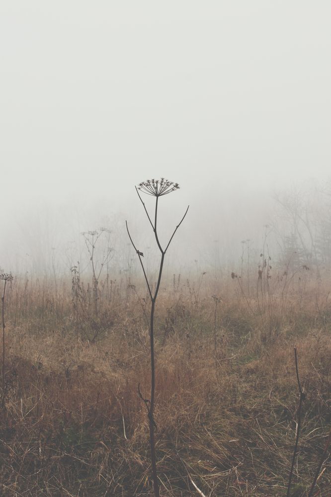 Photograph by Anna Turks