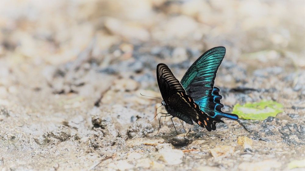 Photograph by константин