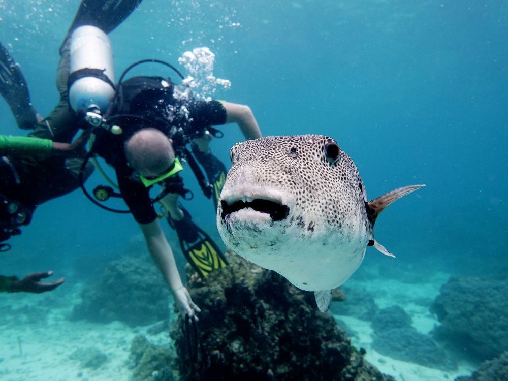 Photograph by Андрей Абрамов