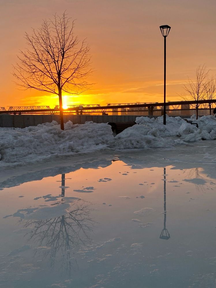 Photograph by Алиса Лукина