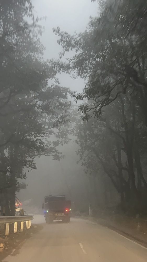 Photograph by Sharma Dr Megha