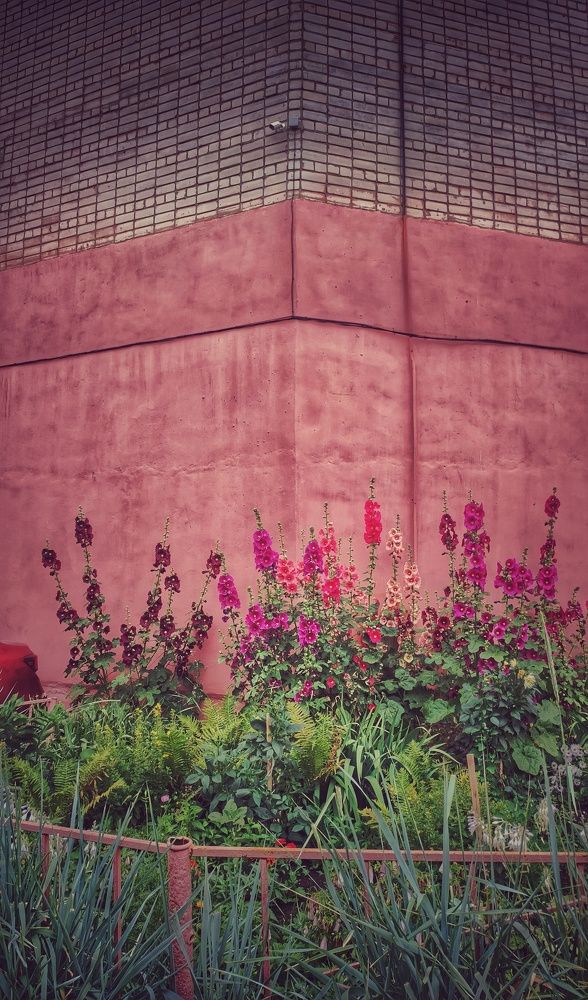 Photograph by Наталья Калюнова