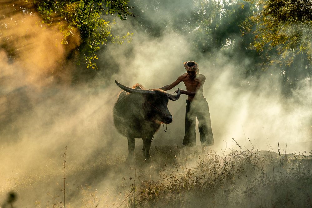 Photograph by JJ Lim