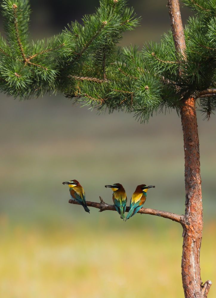 Photograph by Алексей