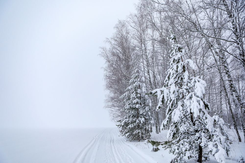 Photograph by Sergey Uskov