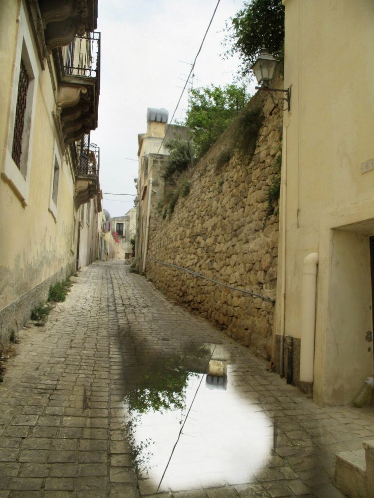 Photo #9317616