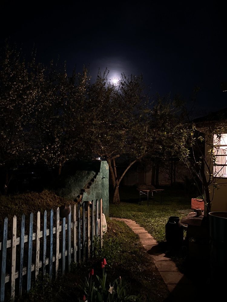 Photograph by Marina Argunova