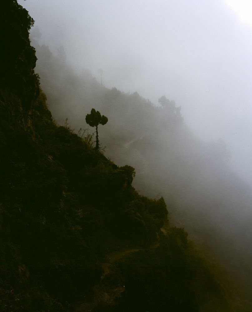 Photograph by Алексей Заморкин