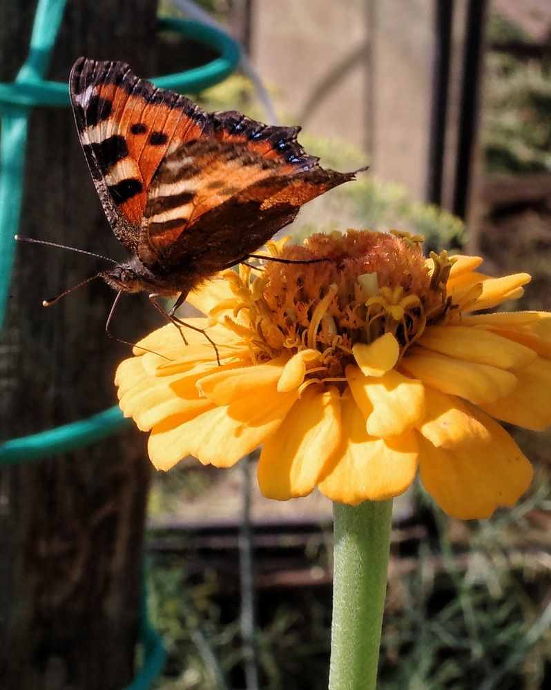 Photograph by Наталья Сафронова