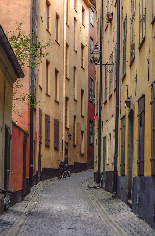 Photograph by Екатерина Казарцева