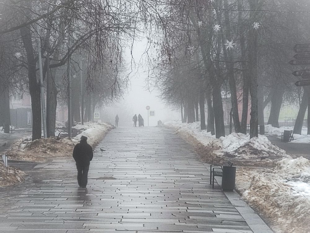 Photograph by Светлана Захарова