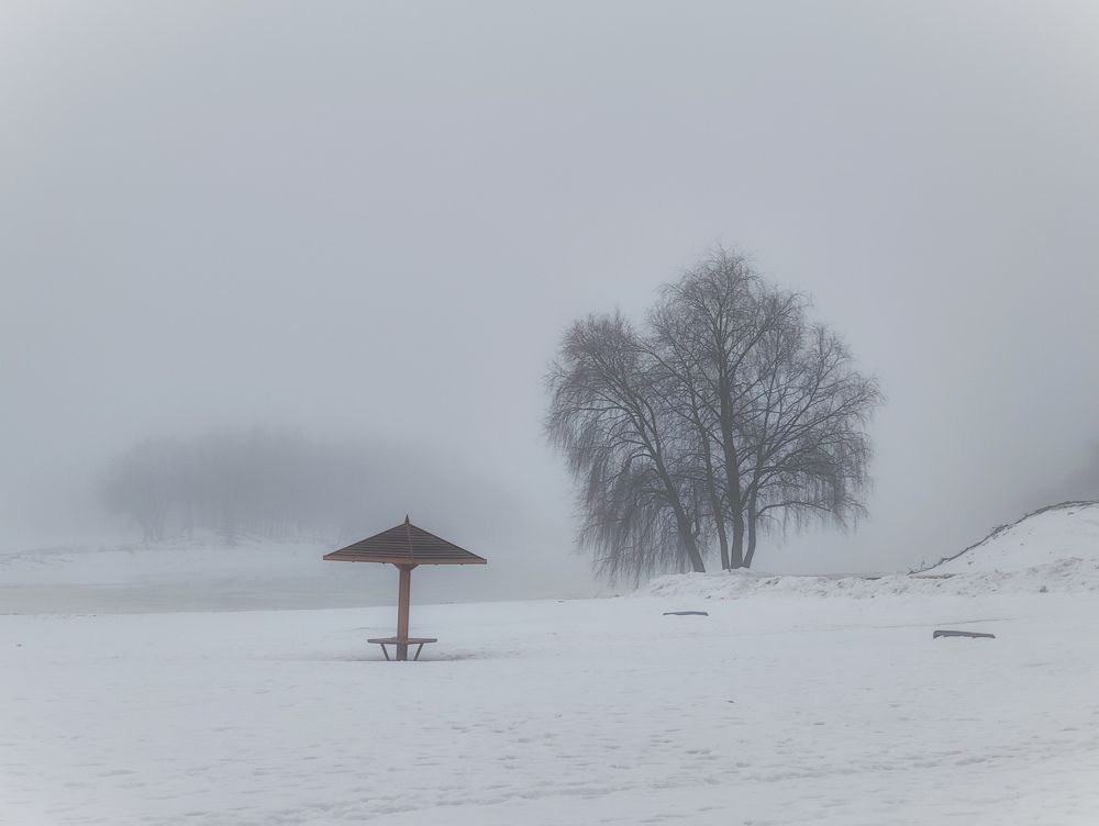 Photograph by Светлана Захарова