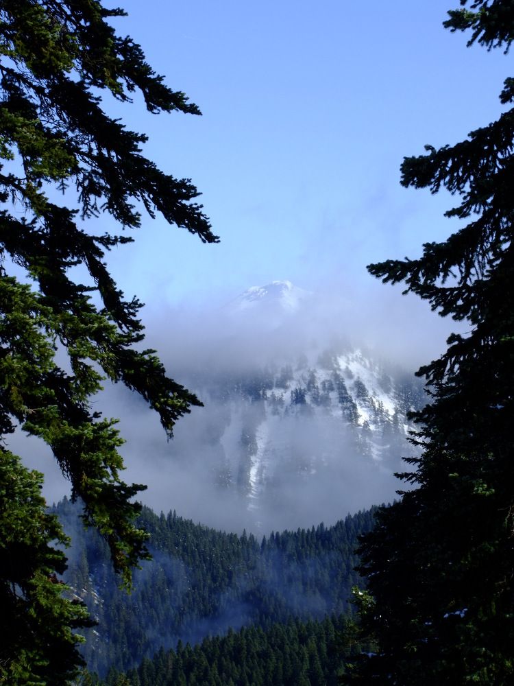 Photograph by Cengiz Yalcin