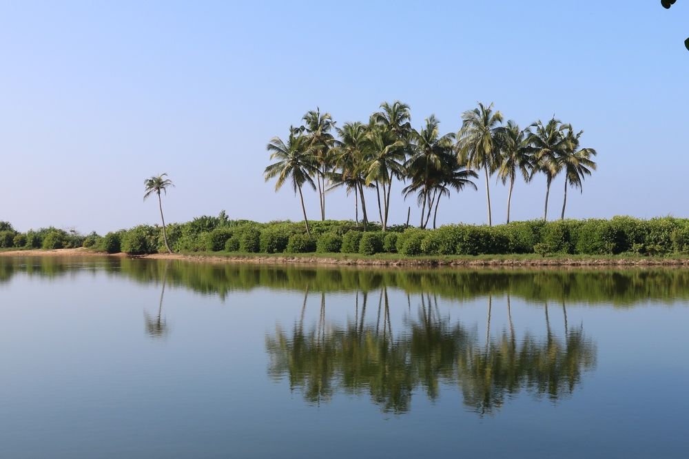 Photograph by Dimuth De Zoysa