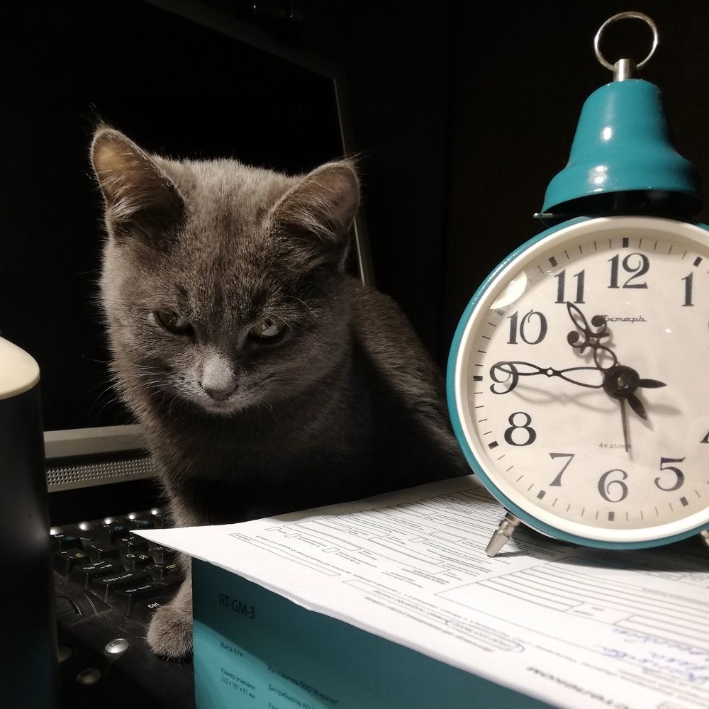 Photograph by Татьяна Смирнова