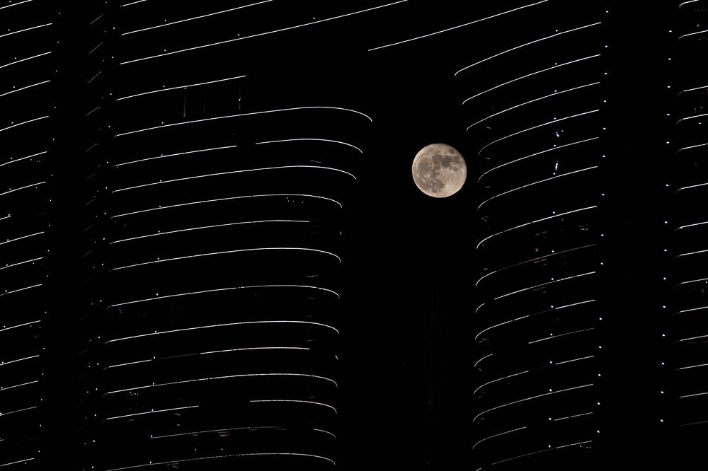 Photograph by Bevzenko Roman