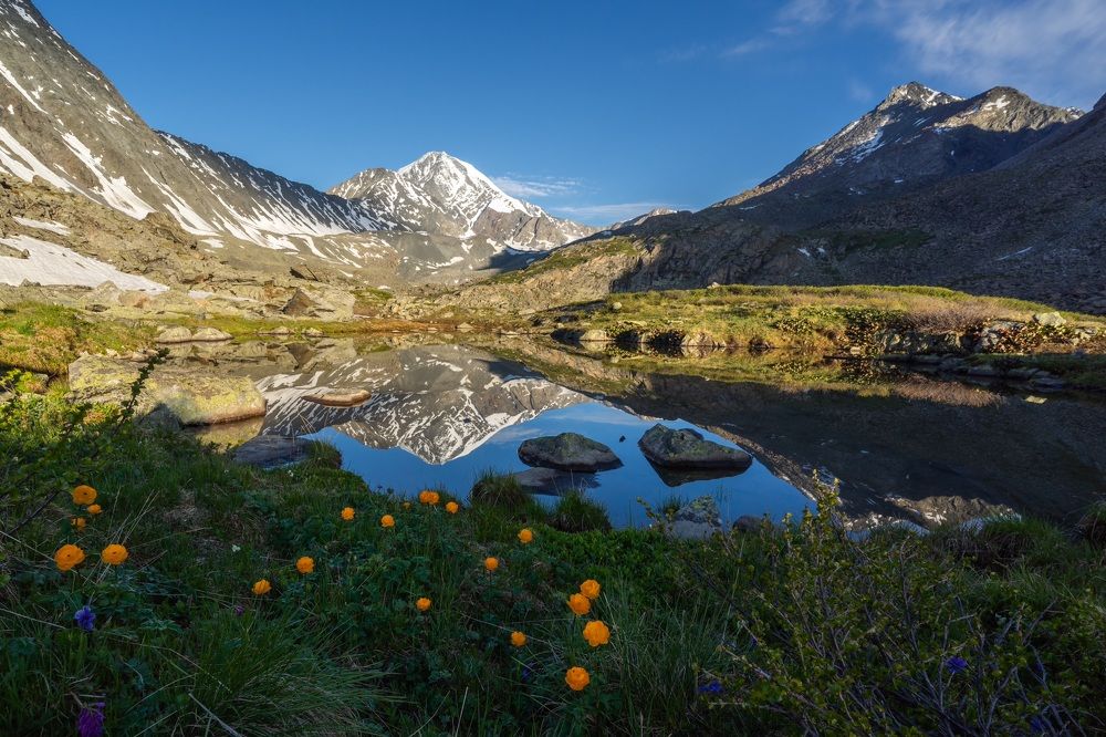 Фотография автора Oleg Matronitskiy