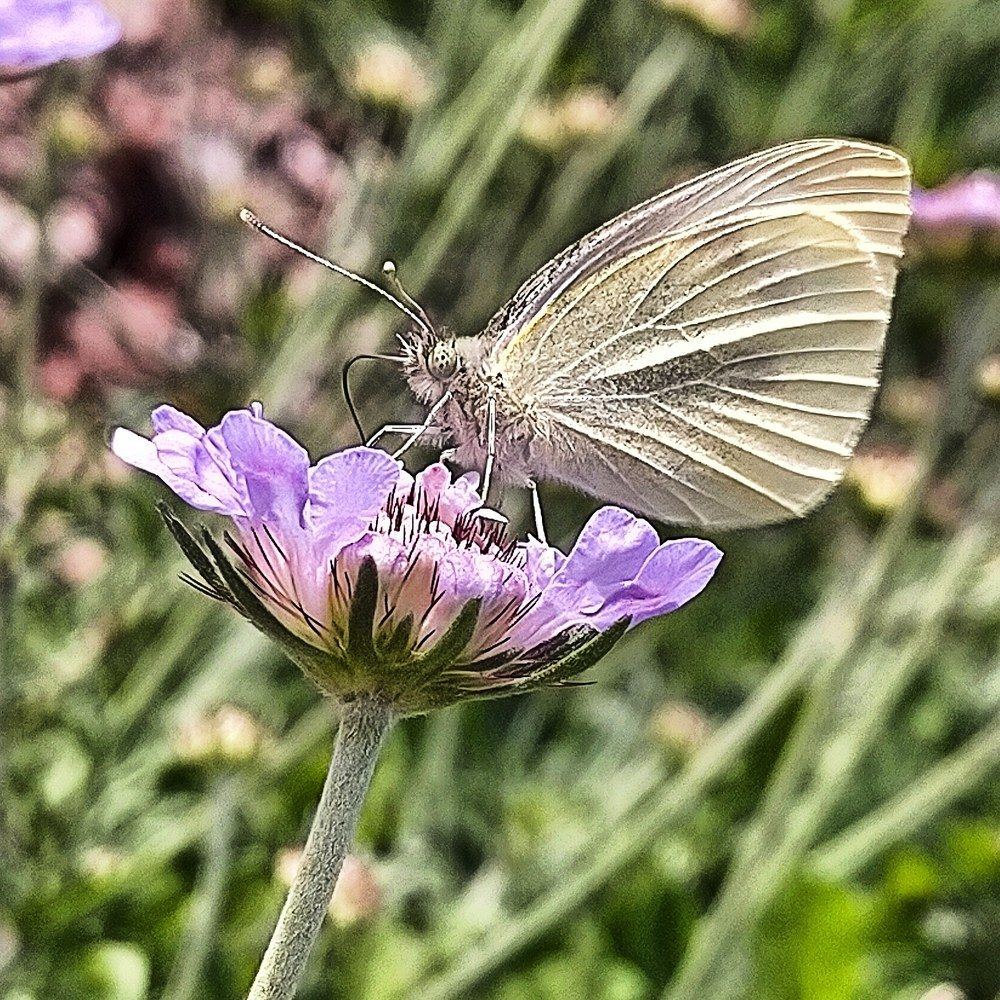 Photograph by Kirsteen Isles