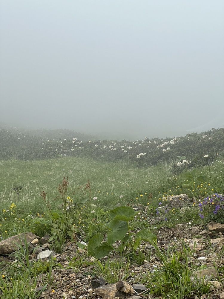 Photograph by Елена Мизина