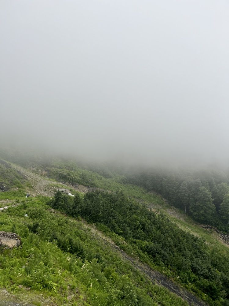 Photograph by Елена Мизина