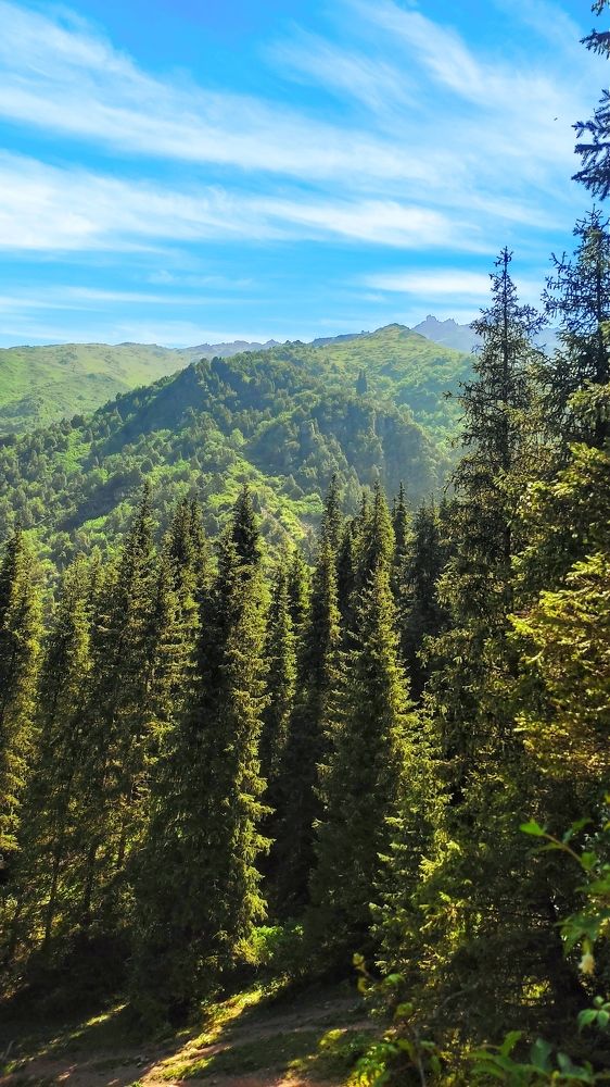 Photograph by Anetta Kopenkina