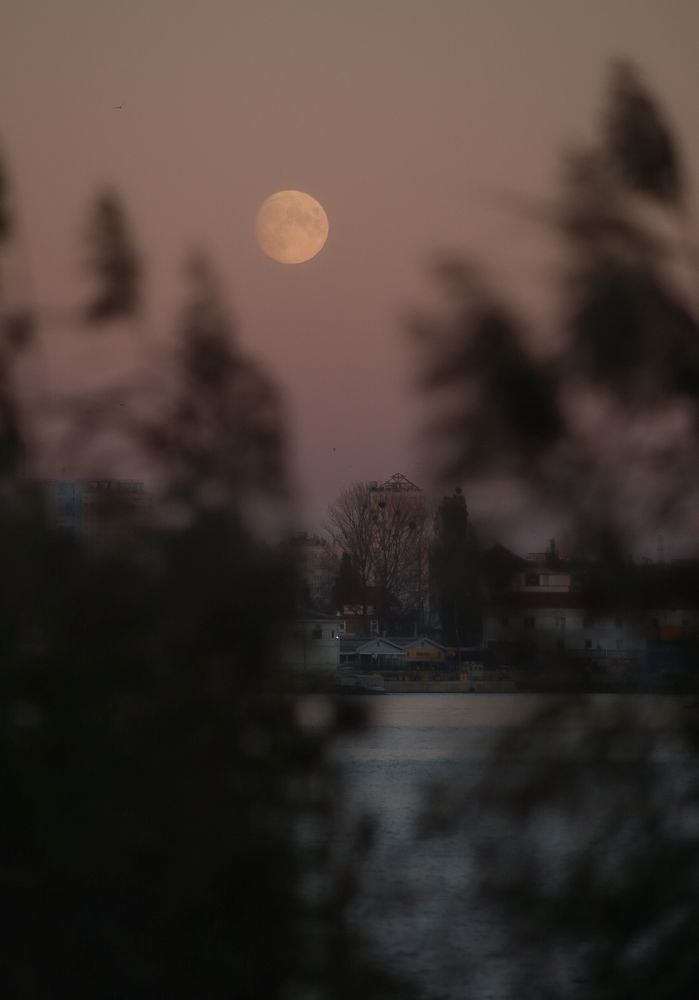 Photograph by Елена Болдырева