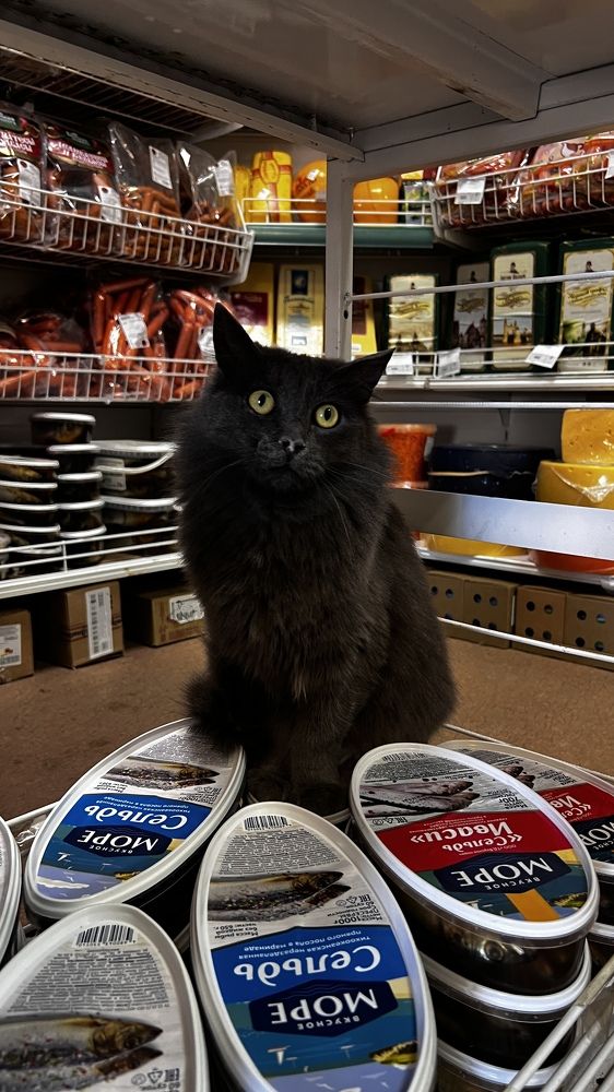 Photograph by Елена Мизина