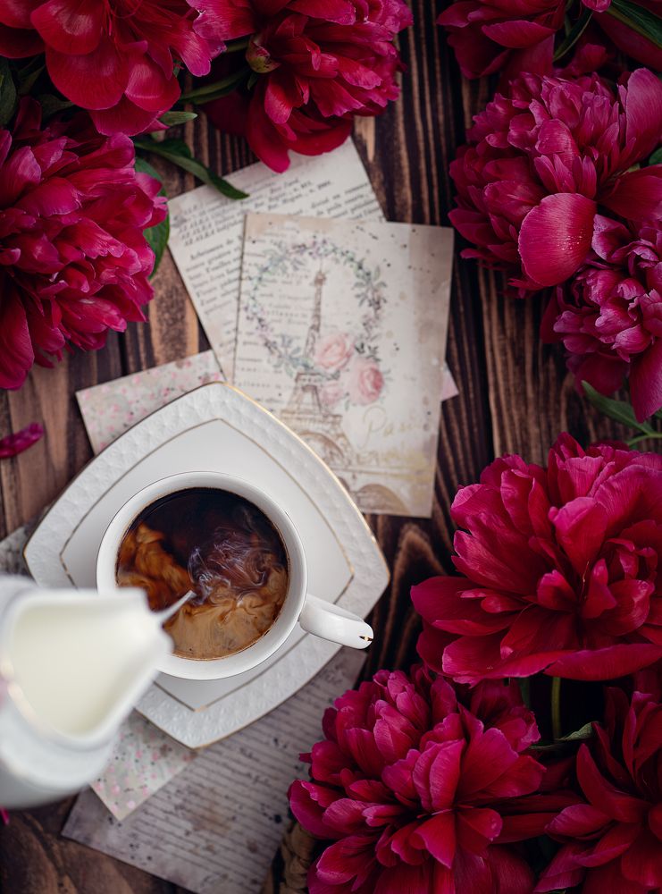 Photograph by Юлия Рябчук