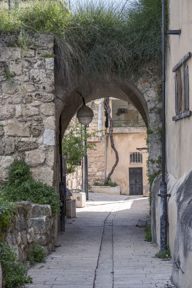 Photograph by Антон Шаркас